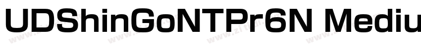 UDShinGoNTPr6N Mediu字体转换